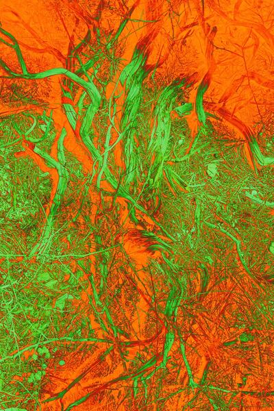 Una de las piezas que forma parte de “Twenty Red Lights”.