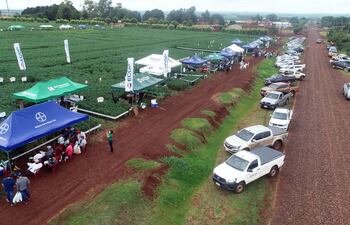Las empresas obtentoras trabajan en promocionar las biotecnologías para le productor.