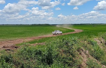 Allanamiento arrozal Borja