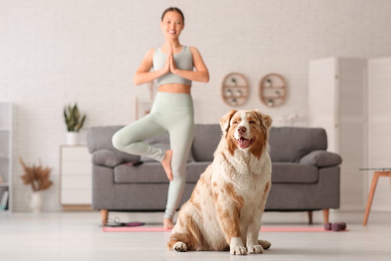 Yoga con perros.