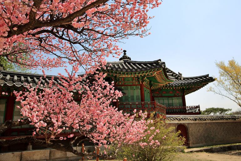 Palacio de Changdeokgung. Seúl, Corea del Sur.