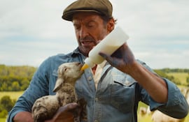 Hugh Jackman en 'Las ovejas detectives', desde hoy en cines de Paraguay.