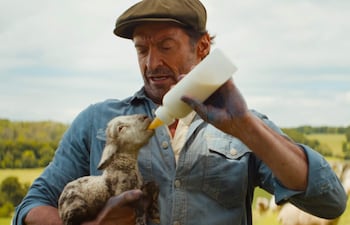 Hugh Jackman en 'Las ovejas detectives', desde hoy en cines de Paraguay.