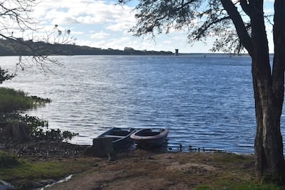 Pescadores confían en que acuerdos con Yacyretá permita superar crisis generadas por algas en el río Paraná.