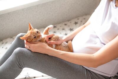 Mujer con gato en su regazo.
