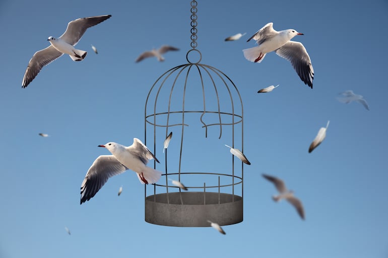 Soñar con pájaros.