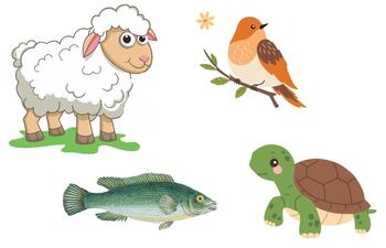 Exploramos cómo se mueven y se cubren los animales