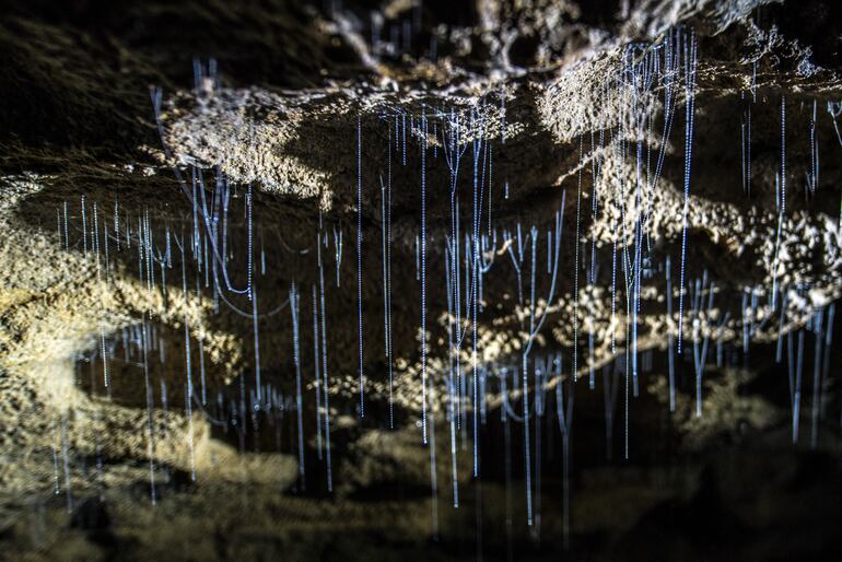 Glowworm Caves, Waitomo, Nueva Zelanda.