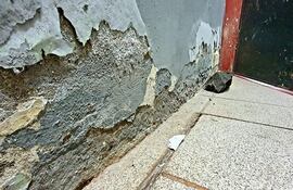 Espacio interior de la Fiscalía con paredes deterioradas y puerta negra parcialmente abierta.