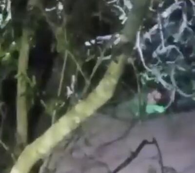 Sujetado a una rama, logró permanecer casi media hora antes de ser rescatado.