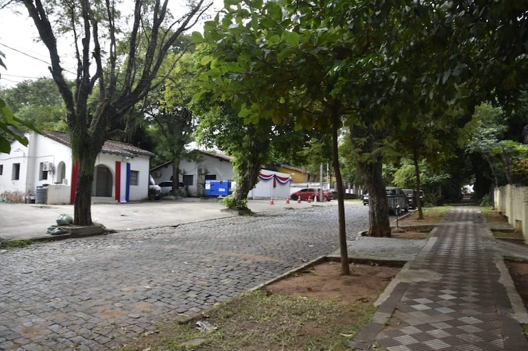 Calle empedrada sin personas, árboles y edificios, uno decorado en rojo, blanco y azul, creando un ambiente festivo.
