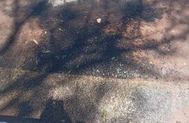 Cada vez el bache crece más y se pierden muchos litros de agua a causa de caño roto