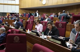 Sesión del Senado. Foto de Prensa Senado.