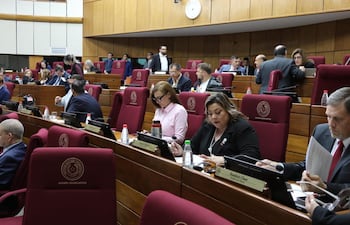 Sesión del Senado. Foto de Prensa Senado.