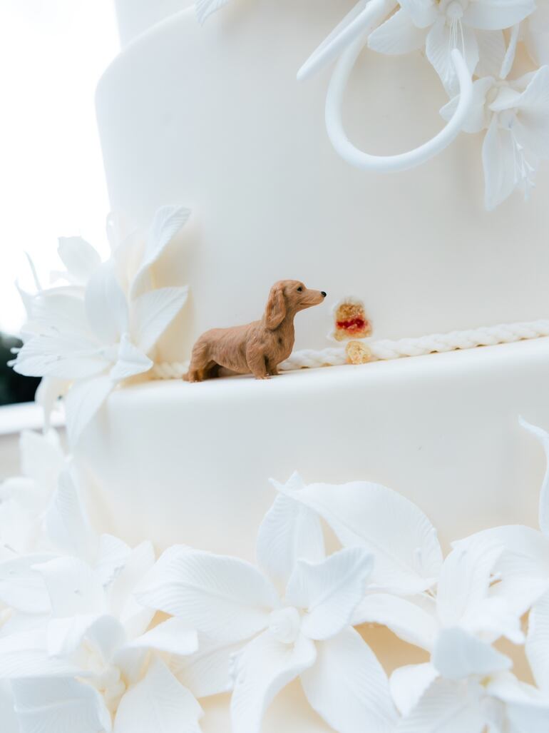 Leo fue el protagonista indiscutido de la boda de Charles Leclerc. Estuvo presente hasta en la torta de boda. (Instagram/Alexandra Leclerc)