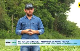 ABC RURAL: Fertilización de base diferenciada para producción de sandia