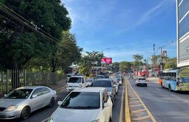 Escena urbana con tráfico, árboles a la izquierda y edificios a la derecha, sin personas visibles, durante el día.
