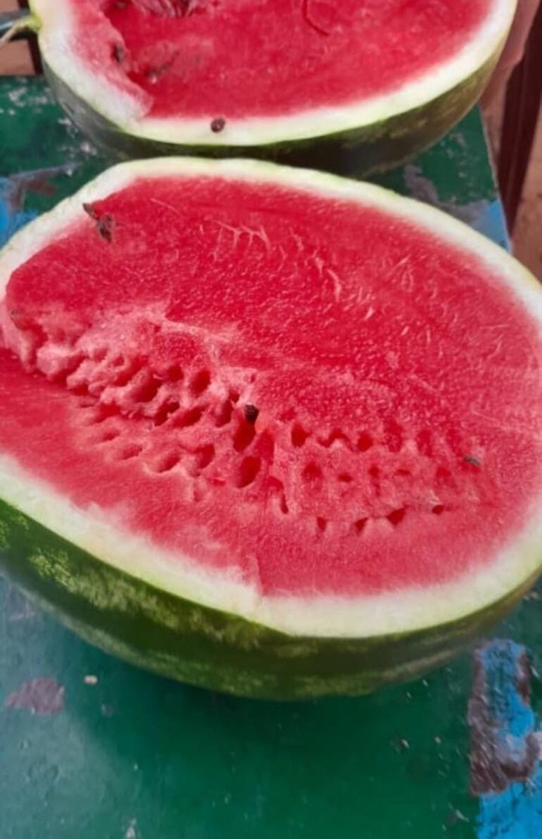 La sandía de Altos endulza el trabajo y el orgullo de sus productores.