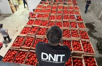 Hombres organizan cajas de tomates en un almacén cerrado, uno observa desde una estructura elevada, todos con expresión de concentración.
