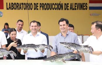 El ministro de Agricultura, Carlos Giménez, el viceministro de Ganadería, Marcelo González, y el embajador de Taiwán, José Chih-Cheng Han, en el centro de alevinaje, del MAG.