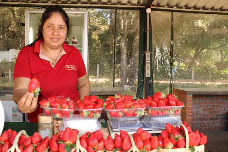 La Expo Frutilla de Ypacaraí atrae a los turistas