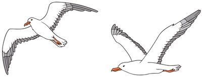 Lo superficial y lo esencial en la vida.