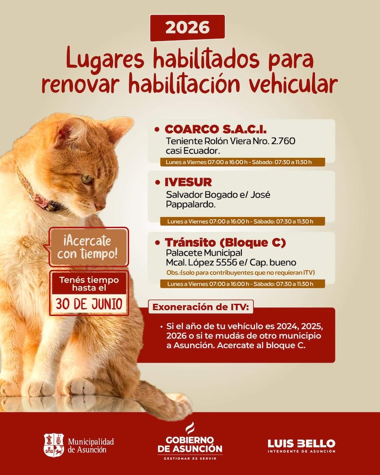 Cartel informativo con un gato anaranjado y texto sobre renovación de habilitación vehicular en Asunción.