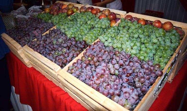 Los visitantes podrán adquirir uvas, ciruelas y melones, ideales para preparar clericó.