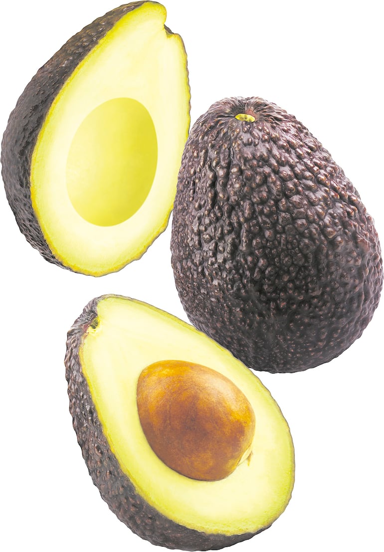 Aguacate: del cultivo incipiente al negocio emergente
