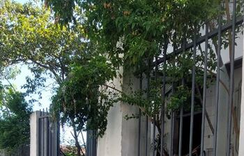 Bolsas llenas de basura  frente al inmueble donde funcionaba el exlocal de cobranzas de la ANDE.