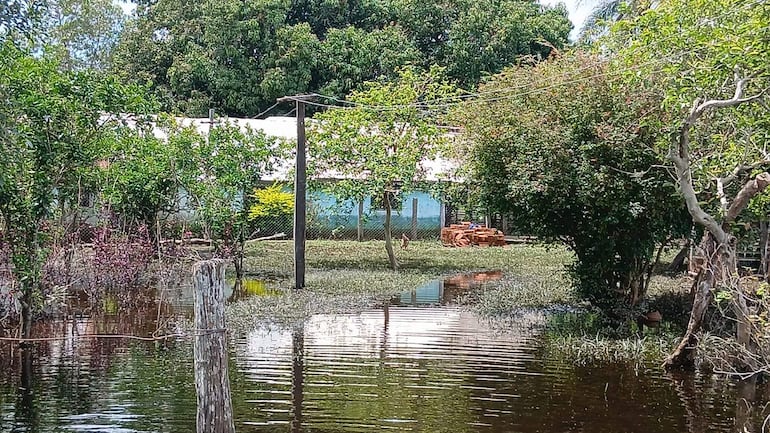 Entorno inundado con vegetación frondosa, postes de electricidad y construcción afectada por el agua en Cerrito.