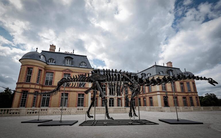 El esqueleto de dinosaurio Apatosaurus bautizado "Vulcain", expuesto frente al castillo Dampierre antes de una subasta que se realizará en Dampierre-en-Yvelines, al sur de París.