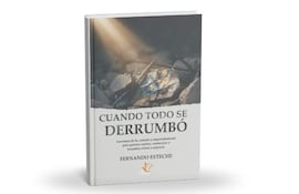 Libro 'Cuando todo se derrumbó' de Fernando Esteche sobre fondo de piedra, con luz iluminando el título en la tapa blanca.