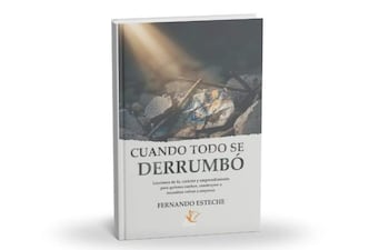 Libro 'Cuando todo se derrumbó' de Fernando Esteche sobre fondo de piedra, con luz iluminando el título en la tapa blanca.