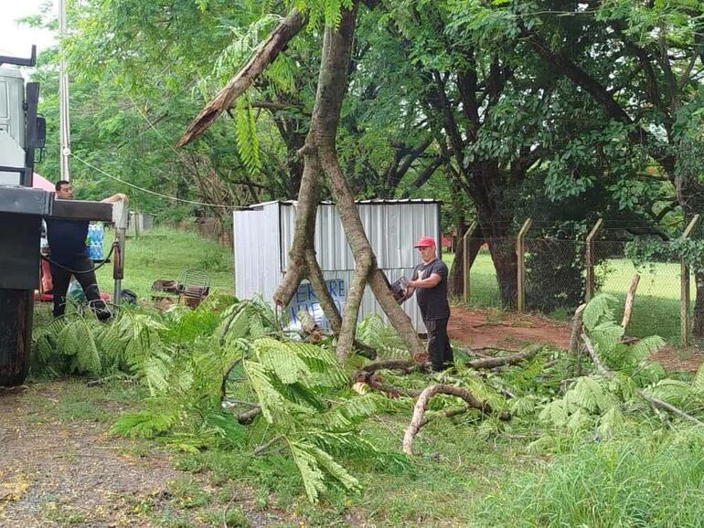 En el barrio Centro de Caacupé también se registró la caída de árboles, pero los funcionarios municipales lograron despejar la zona rápidamente.