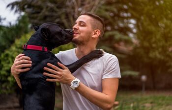 Un perro negro de gran tamaño y un joven se dan un beso en la boca.