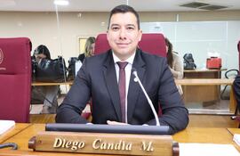 Diego Candia (ANR-HC), representante ante el JEM.