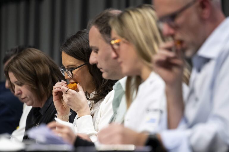 Miembros del jurado analizan y degustan quesos de diferentes países durante la final de los 37º World Cheese Awards, en el Festhalle de Berna, Suiza, el 13 de noviembre de 2025.