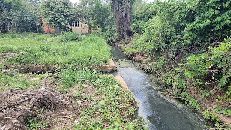San Juan Bautista: denuncian vertido de aguas cloacales en desagüe pluvial