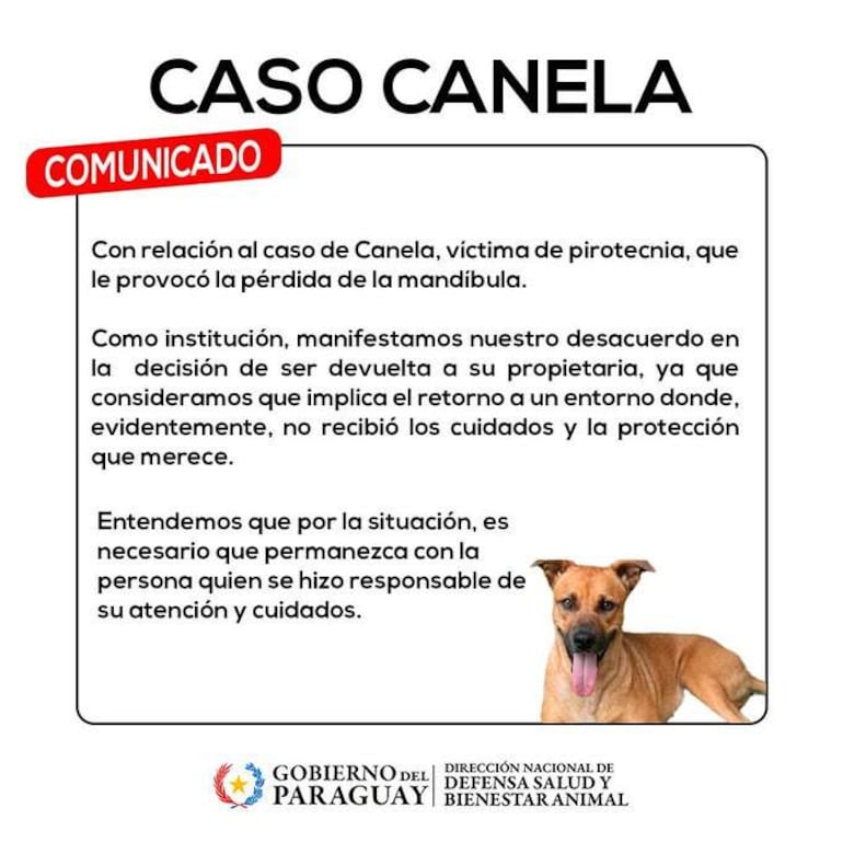 Comunicado sobre Canela, un perro con pérdida de mandíbula, en fondo claro con texto explicativo sin personas visibles.