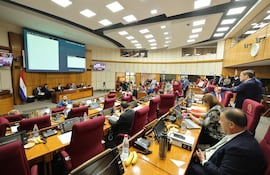 Cámara de Senadores (Fuente: Senado)