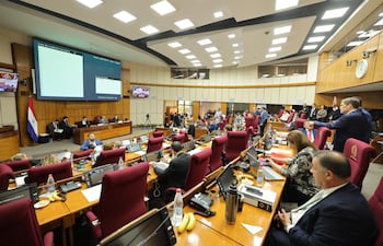 Cámara de Senadores (Fuente: Senado)