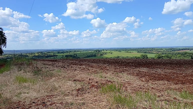 Soja en Independencia