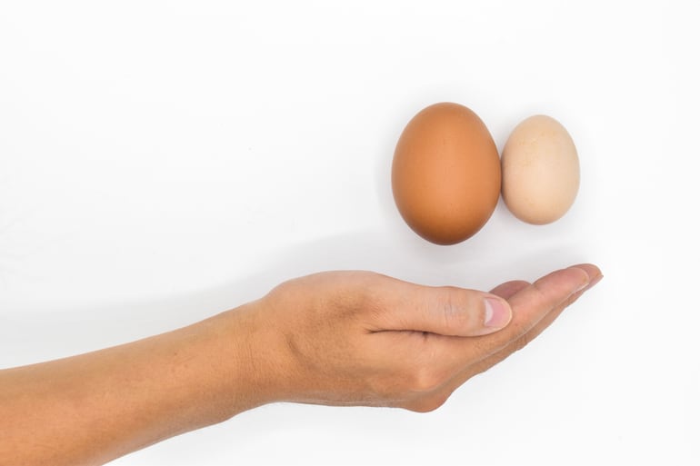 Dolor testicular.