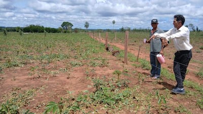 Mientras continúan las gestiones, las familias damnificadas aguardan la llegada de ayuda para reparar sus viviendas y hacer frente a las pérdidas agrícolas y de animales