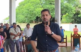 Pedro Alliana dijo que su candidatura a la presidencia de la República sigue firme.