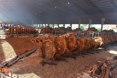 Ambiente festivo con personas de pie al fondo, mientras se cocinan costillas en estructuras metálicas rodeadas de leña humeante.