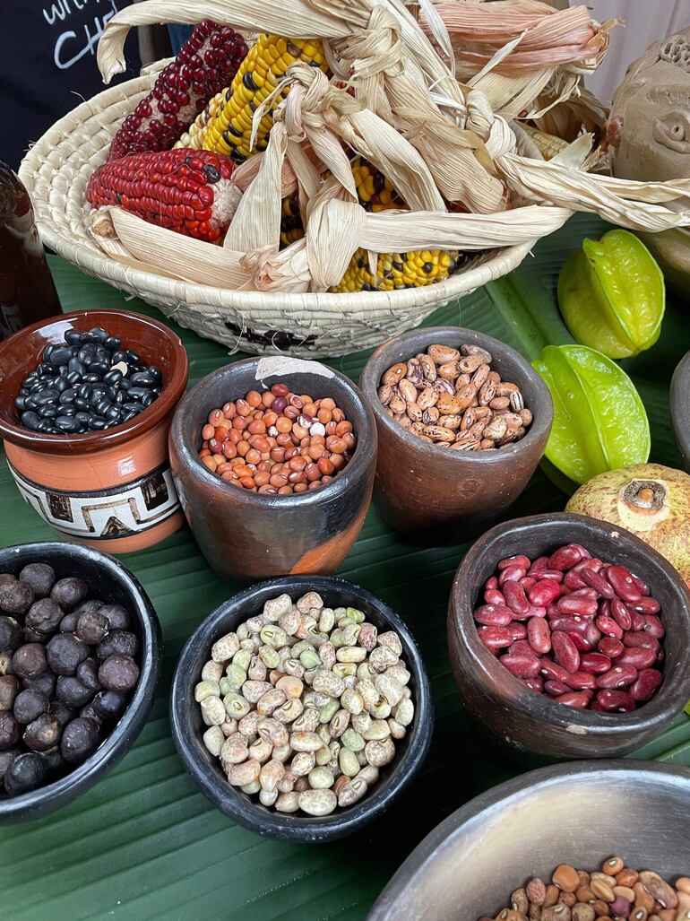 La cocina nativa explorar y celebrar la riqueza culinaria del Paraguay, explorando ingredientes nativos de todas las regiones del país, sensibilizando la importancia de cuidar nuestras tradiciones alimenticias y nuestra gran diversidad de alimentos, simples, extravagantes, llenos de sabor y texturas.