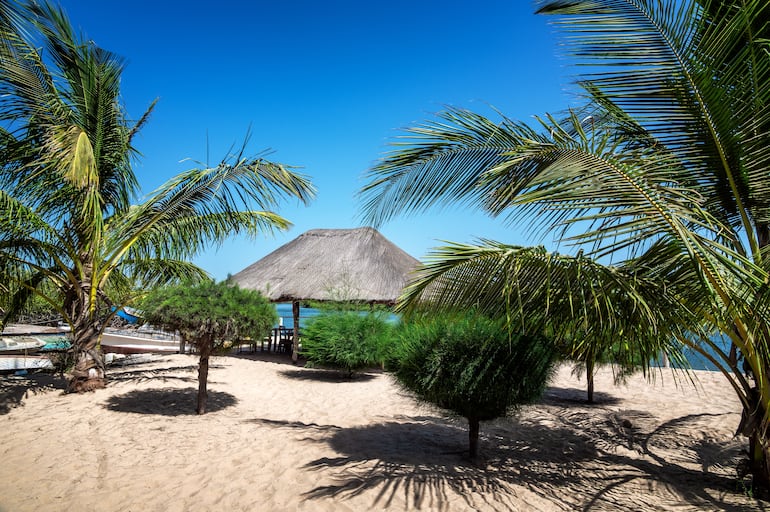 Playa y palmeras en el río Casamance en Ehidj, Senegal.