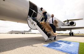 La tripulación de Bark Air ayuda a un perro a subir a bordo de un avión de esta aerolínea, una subsidiaria de BarkBox, compañía que produce y vende comida para perros y otros productos caninos.